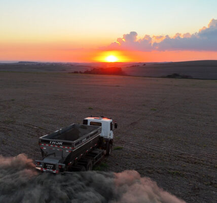 Spreading The Pilot Terradot
